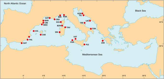 Five key attributes can increase marine protected areas performance for small-scale fisheries management