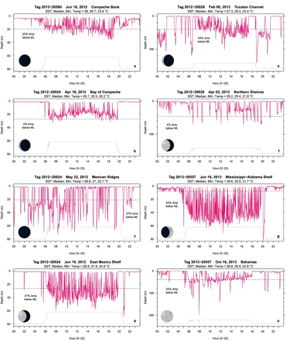 ERDDAP - HYCOM Region 17 3D - Make A Graph