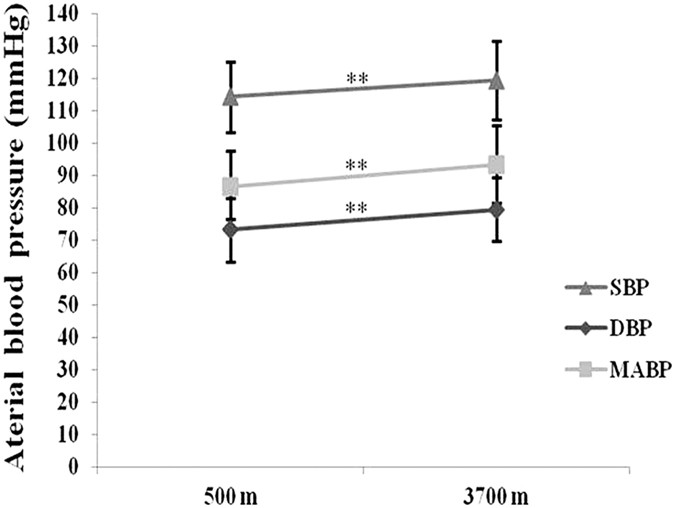 Analysis of high-altitude syndrome and the underlying gene polymorphisms associated with acute mountain sickness after a rapid ascent to high-altitude
