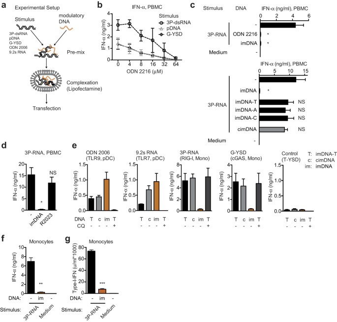 G Rich Dna Induced Stress Response Blocks Type I Ifn But Not Cxcl10 Secretion In Monocytes Scientific Reports G Rich Dna Induced Stress Response Blocks Type I Ifn But Not Cxcl10 Secretion In Monocytes Scientific Reports