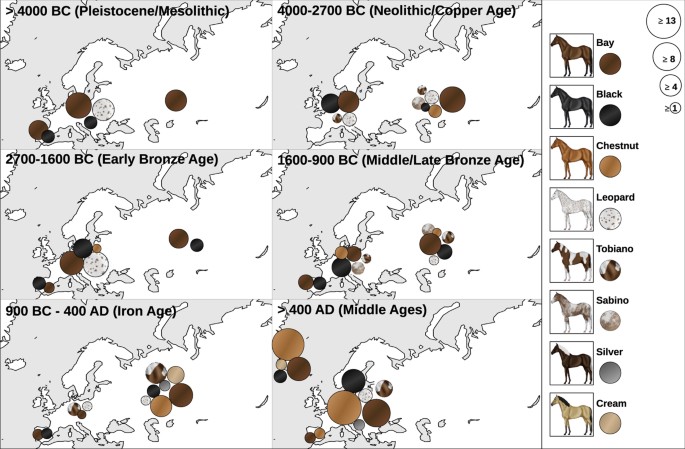 spotted phenotypes in horses lost attractiveness in the