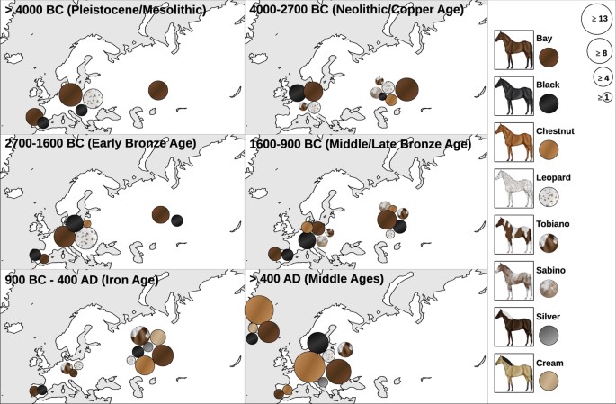 Spotted phenotypes in horses lost attractiveness in the Middle Ages |  Scientific Reports