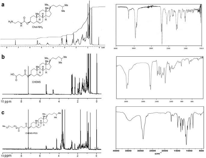 Effects Of Liposomes Charge On Extending Sciatic Nerve Blockade Of N Ethyl Bromide Of Lidocaine In Rats Scientific Reports