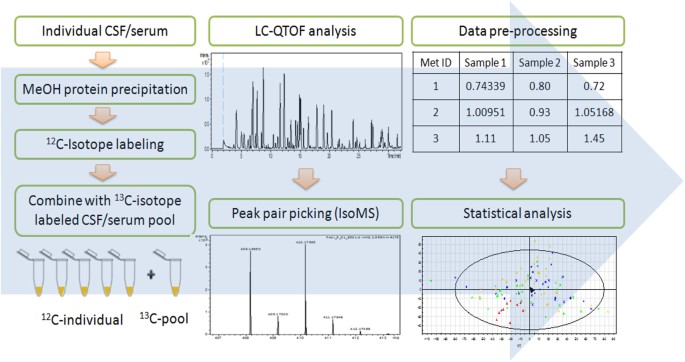 Parallel metabolomic profiling of cerebrospinal fluid and serum for identifying biomarkers of injury severity after acute human spinal cord injury