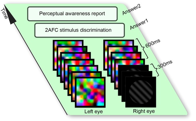 Unconscious processing of invisible visual stimuli