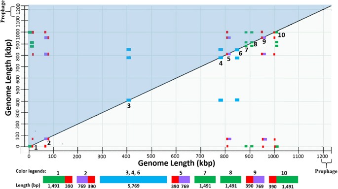 Unusual five copies and dual forms of nrdb in “candidatus liberibacter asiaticus”: biological implications and pcr detection application