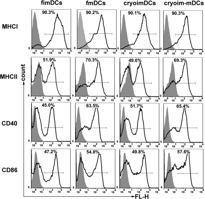 Mature Dendritic Cell Derived From Cryopreserved Immature