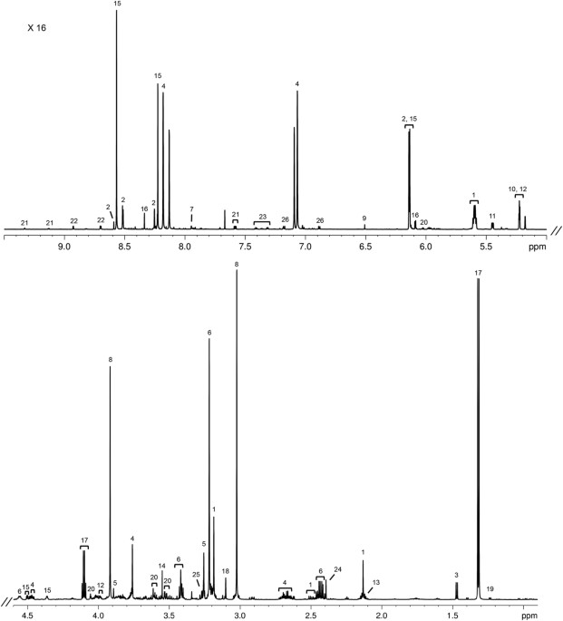 The hepatic and skeletal muscle ovine metabolomes as affected by weight loss: a study in three sheep breeds using nmr-metabolomics