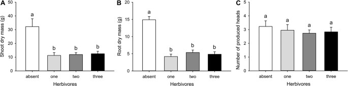 The identity of belowground herbivores, not herbivore diversity, mediates impacts on plant productivity
