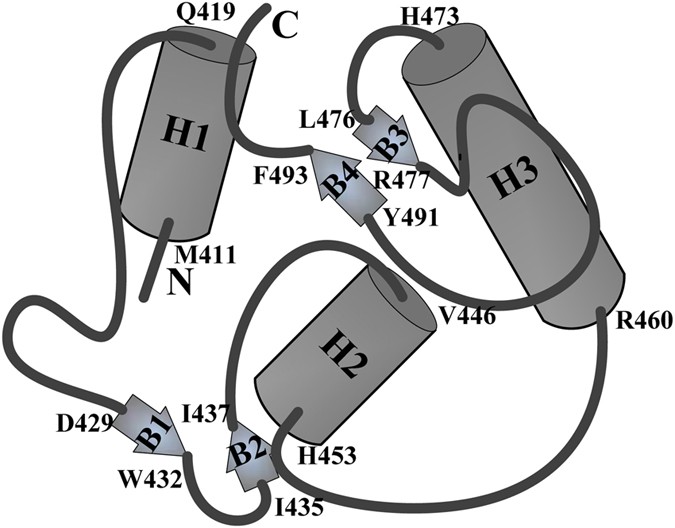 Identification of dep domain-containing proteins by a machine learning method and experimental analysis of their expression in human hcc tissues