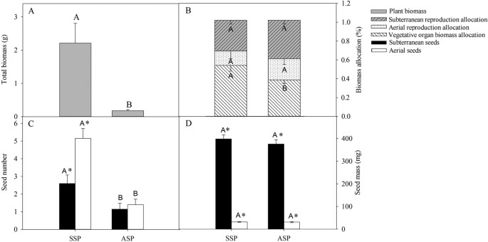 Effect Of Seed Morph And Light Level On Growth And Reproduction Of The Amphicarpic Plant Amphicarpaea Edgeworthii Fabaceae Scientific Reports Effect Of Seed Morph And Light Level On Growth And Reproduction Of The Amphicarpic Plant Amphicarpaea Edgeworthii Fabaceae Scientific Reports