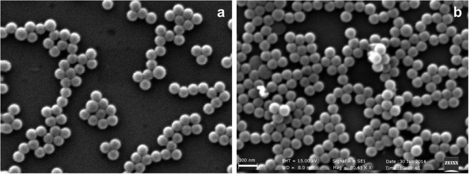 molecularly imprinted biodegradable nanoparticles cross linked polymer