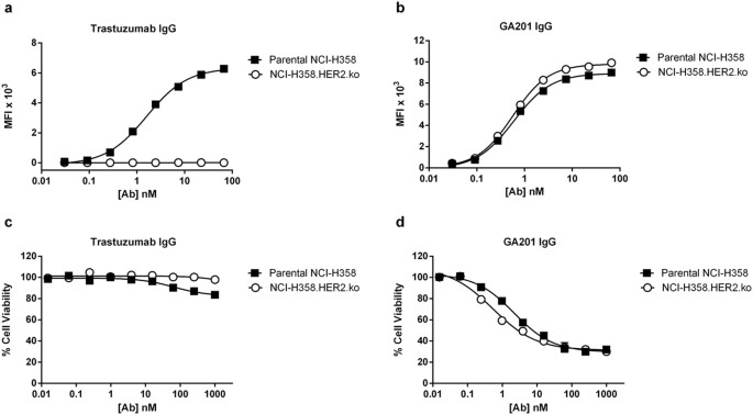 Enhanced tumor-targeting selectivity by modulating bispecific 