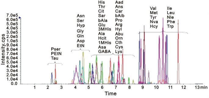 Plasma Amino Acid Profile In Patients With Aortic Dissection Scientific Reports