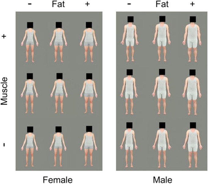 Why Your Body Fat Scale Readings Will NOT Add Up To 100% – Eat Smart