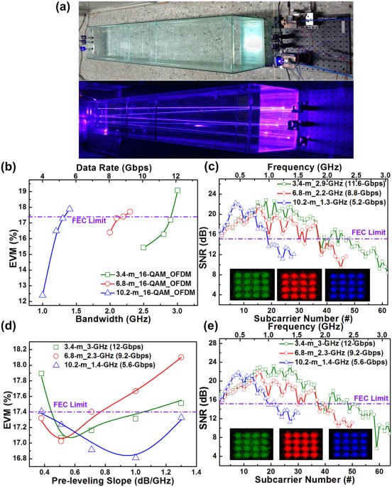 https://media.springernature.com/m685/springer-static/image/art%3A10.1038%2Fsrep40480/MediaObjects/41598_2017_Article_BFsrep40480_Fig4_HTML.jpg