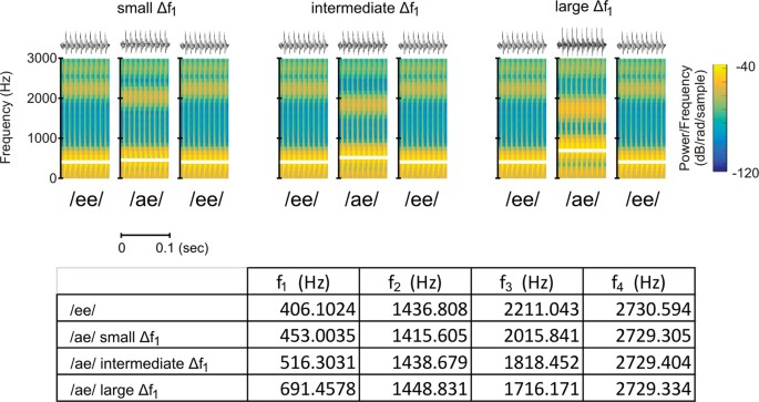 Neural Correlates Of Speech Segregation Based On Formant