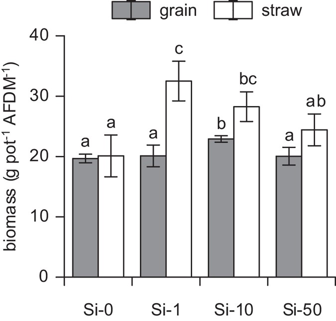 Silicon Availability Modifies Nutrient Use Efficiency And Content C N P Stoichiometry And Productivity Of Winter Wheat Triticum Aestivum L Scientific Reports