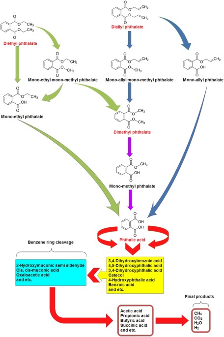 Performance, kinetic, and biodegradation pathway evaluation of anaerobic  fixed film fixed bed reactor in removing phthalic acid esters from  wastewater