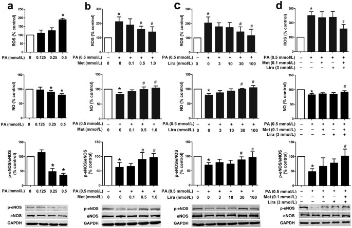 glp-1 drugs in development The Next Big Weight Loss Drug Stocks