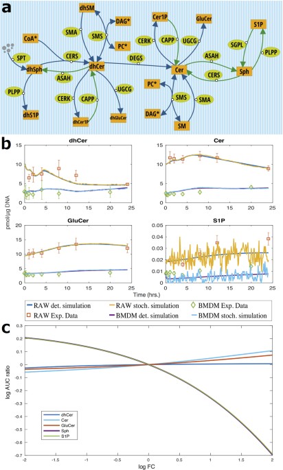 Mechanistic interplay between ceramide and insulin resistance | Scientific  Reports