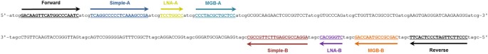 Evaluation of taqman qpcr system integrating two identically labelled hydrolysis probes in single assay