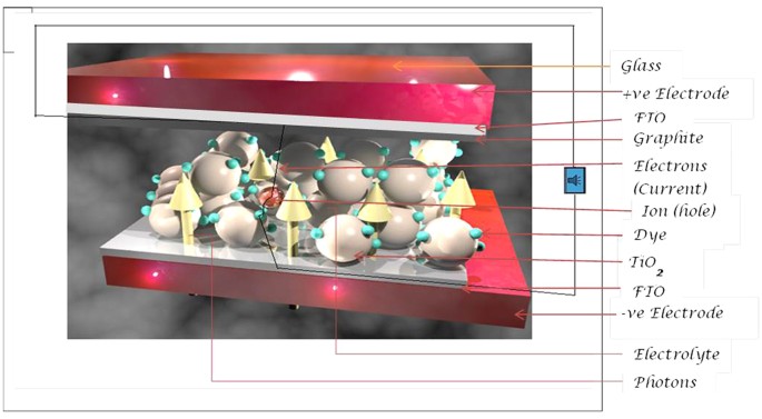 feature-image