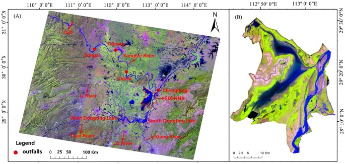 https://media.springernature.com/m685/springer-static/image/art%3A10.1038%2Fsrep41761/MediaObjects/41598_2017_Article_BFsrep41761_Fig1_HTML.jpg