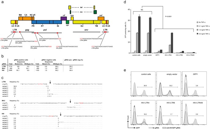 A Combinational Crispr Cas9 Gene Editing Approach Can Halt Hiv Replication And Prevent Viral Escape Scientific Reports