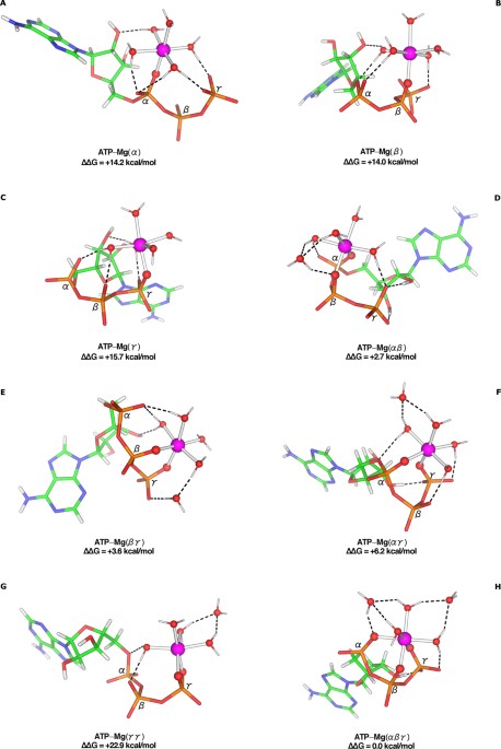 How Native And Alien Metal Cations Bind Atp Implications For Lithium As A Therapeutic Agent Scientific Reports How Native And Alien Metal Cations Bind Atp Implications For Lithium As A Therapeutic Agent Scientific Reports