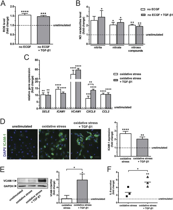 Suppression of tak1 pathway by shear stress counteracts the inflammatory endothelial cell phenotype induced by oxidative stress and tgf-β1