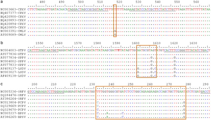 A Novel Hrm Assay For The Simultaneous Detection And Differentiation Of Eight Poxviruses Of Medical And Veterinary Importance Scientific Reports A Novel Hrm Assay For The Simultaneous Detection And Differentiation Of Eight Poxviruses Of Medical And Veterinary Importance Scientific Reports