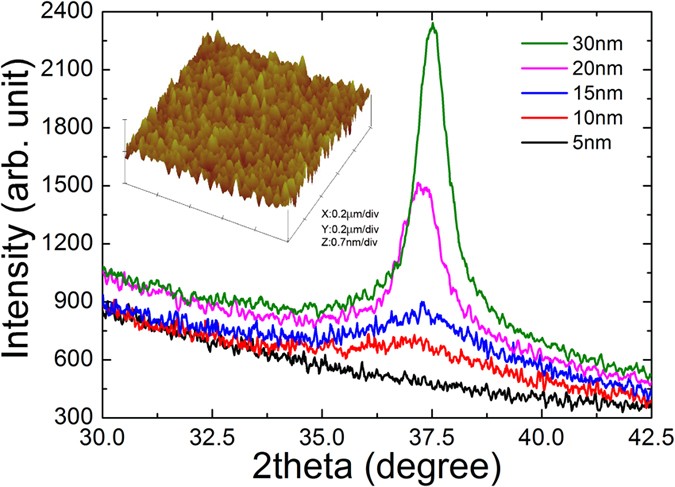 Scaling analysis of field-tuned superconductor–insulator transition in two-dimensional tantalum thin films