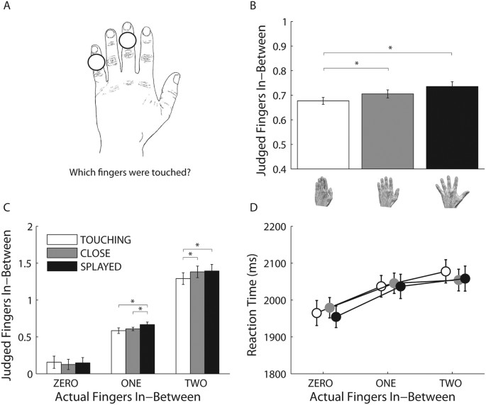 An experimental investigation of finger agnosia