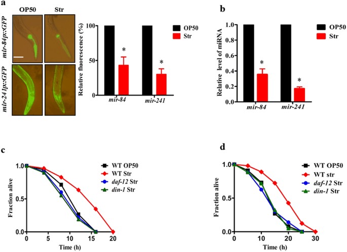 glutathione peroxide The glutathione peroxidase Gpx4 prevents lipid peroxidation and ferroptosis  to sustain Treg cell activation and suppression of antitumor immunity