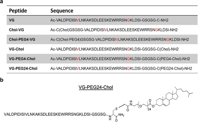 Broad Spectrum Antiviral Activity For Paramyxoviruses Is Modulated By Biophysical Properties Of Fusion Inhibitory Peptides Scientific Reports