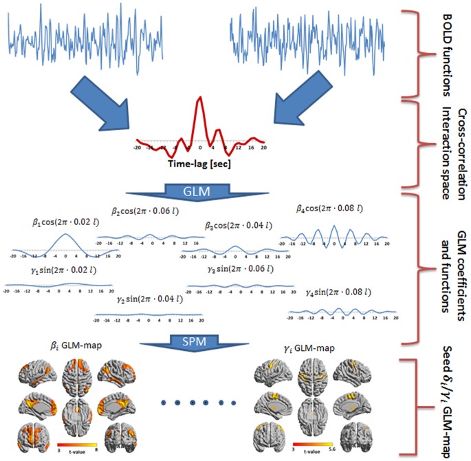 Frequency Phase Analysis Of Resting State Functional Mri Scientific Reports Frequency Phase Analysis Of Resting State Functional Mri Scientific Reports