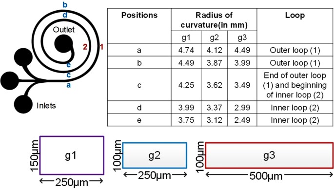 Dean Flow Dynamics in Low-Aspect Ratio Spiral Microchannels