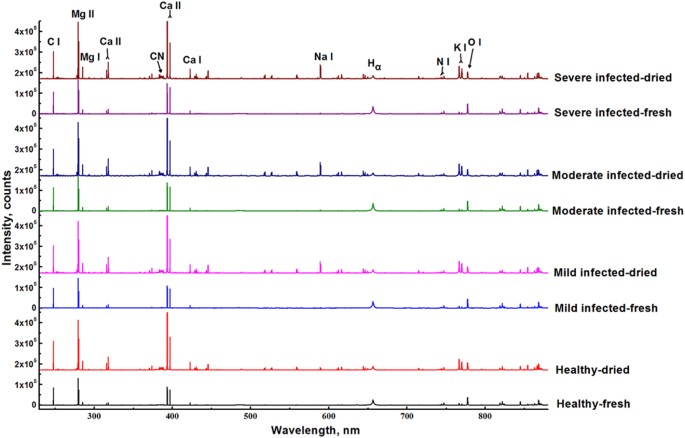 biosafety level for tobacco mosaic virus tmv Fast detection of tobacco mosaic virus infected tobacco using laser-induced  breakdown spectroscopy