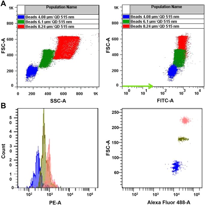 Quantum Dot Based Suspension Microarray For Multiplex Detection Of Lung Cancer Markers Preclinical Validation And Comparison With The Luminex Xmap System Scientific Reports
