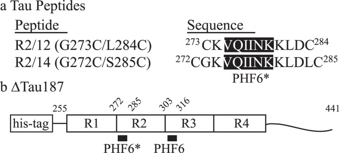 Signature Of An Aggregation Prone Conformation Of Tau Scientific Reports