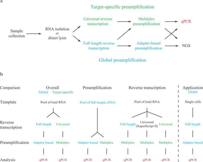 global preamplification simplifies