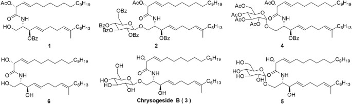 Synthesis of Chrysogeside B from Halotolerant Fungus Penicillium and Its Antimicrobial  Activities Evaluation | Scientific Reports