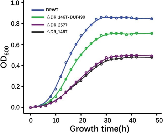 Frontiers  Deinococcus radiodurans UWO298 Dependence on