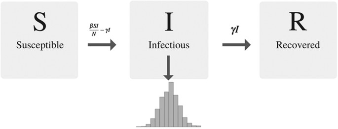 Networks and epidemic models  Journal of The Royal Society Interface