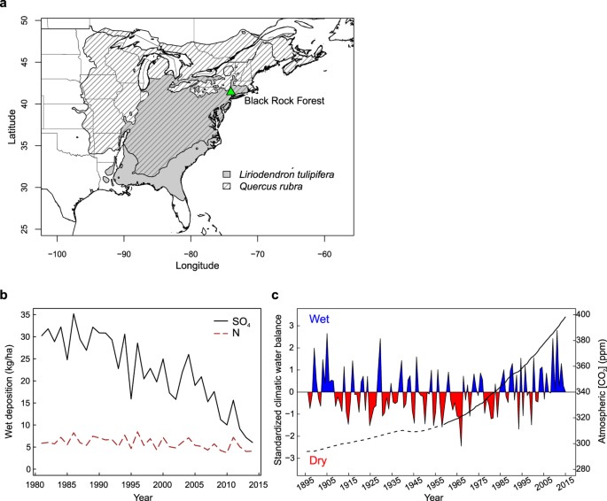 Water Availability Drives Gas Exchange And Growth Of Trees In Water Availability Drives Gas Exchange