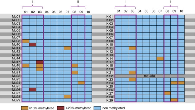 Transgenerational Impact Of Intimate Partner Violence On Methylation In The Promoter Of The Glucocorticoid Receptor Translational Psychiatry