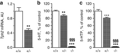 Exaggerated aggression and decreased anxiety in mice deficient in brain serotonin