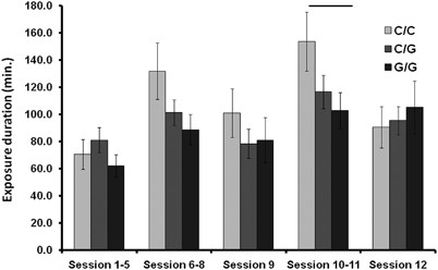 The Functional 1019c G Htr1a Polymorphism And Mechanisms Of Fear Translational Psychiatry