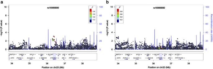 No association between ctnnbl1 and episodic memory performance